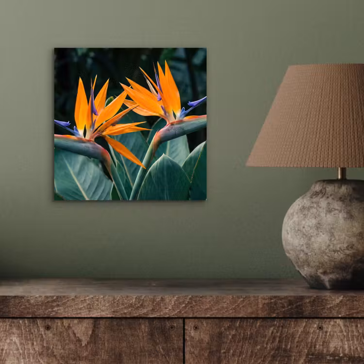 Paradijsvogel - Bloem - Exotisch aluminium wit klein -sfeer2