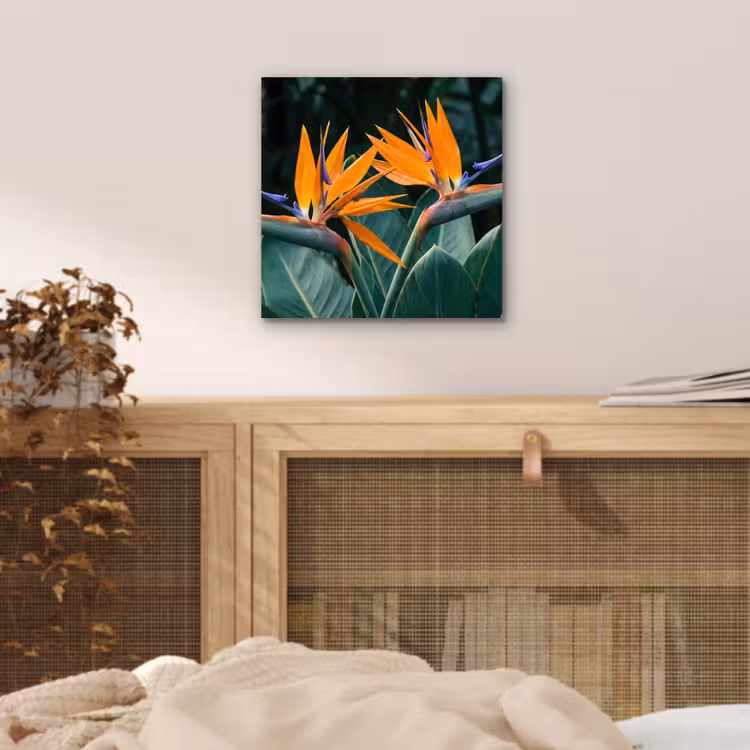 Paradijsvogel - Bloem - Exotisch aluminium wit klein -sfeer3