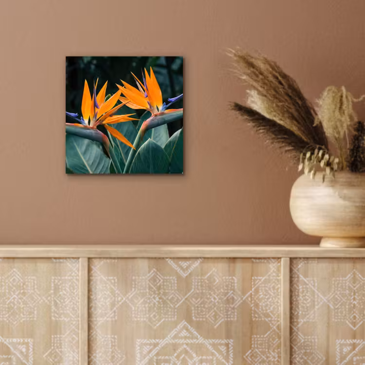 Paradijsvogel - Bloem - Exotisch aluminium wit klein -sfeer4
