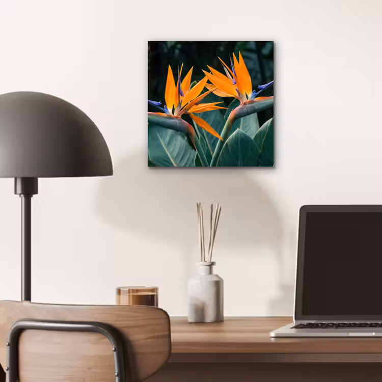 Paradijsvogel - Bloem - Exotisch aluminium wit klein -sfeer5