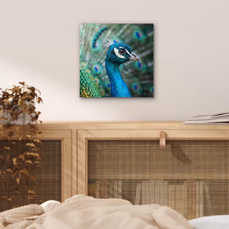 Pauw - Veren - Blauw aluminium wit klein -sfeer3
