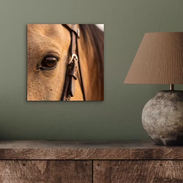 Paard - Oog - Bruin aluminium wit klein -sfeer2