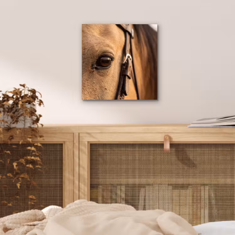 Paard - Oog - Bruin aluminium wit klein -sfeer3