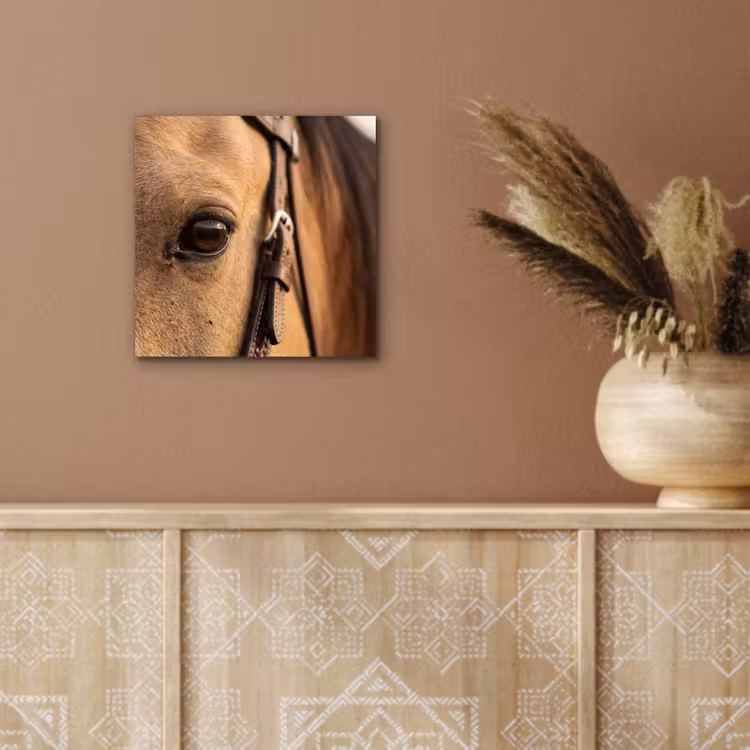 Paard - Oog - Bruin aluminium wit klein -sfeer4