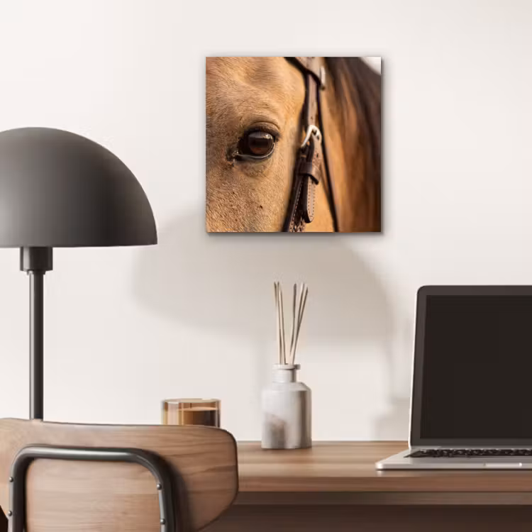 Paard - Oog - Bruin aluminium wit klein -sfeer5