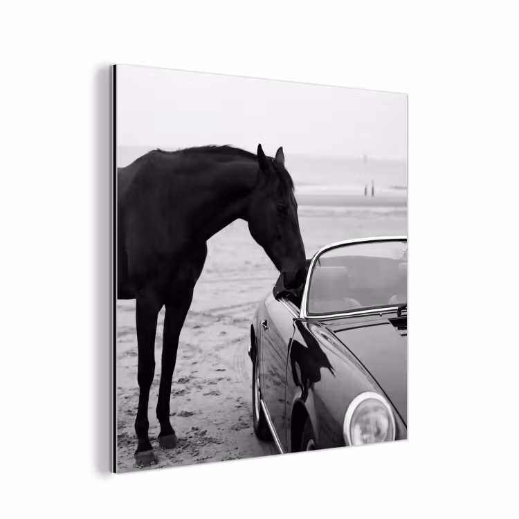 Paard - Auto - Zwart - Wit aluminium wit klein -3d