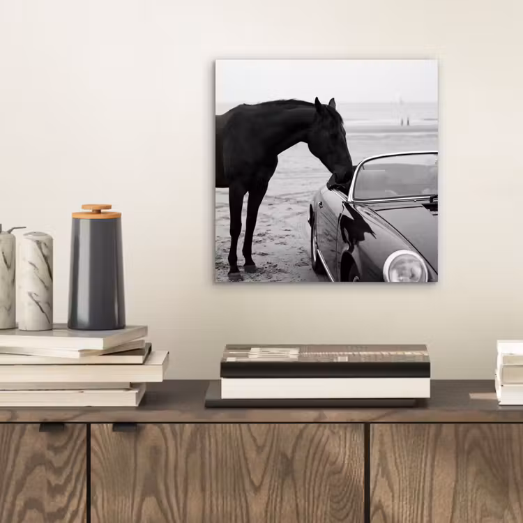 Paard - Auto - Zwart - Wit aluminium wit klein -sfeer1