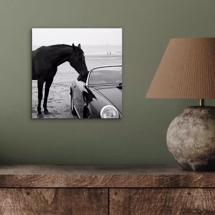 Paard - Auto - Zwart - Wit aluminium wit klein -sfeer2