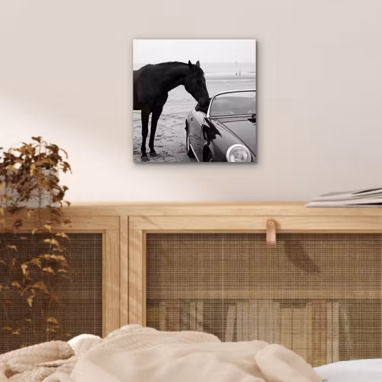 Paard - Auto - Zwart - Wit aluminium wit klein -sfeer3