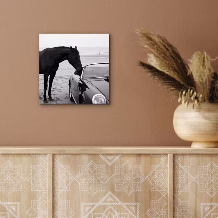 Paard - Auto - Zwart - Wit aluminium wit klein -sfeer4