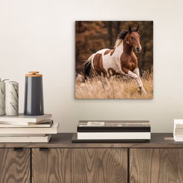 Paard - Bruin - Gras aluminium wit klein -sfeer1