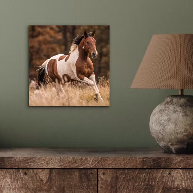 Paard - Bruin - Gras aluminium wit klein -sfeer2