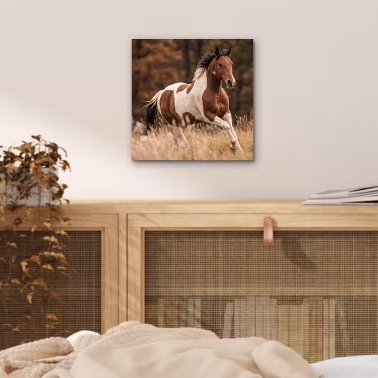 Paard - Bruin - Gras aluminium wit klein -sfeer3