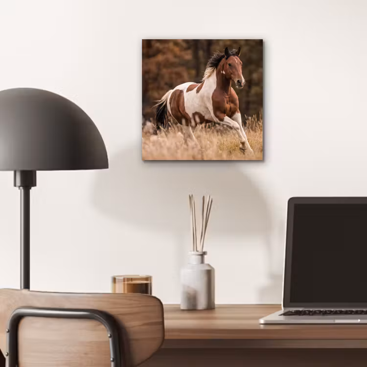 Paard - Bruin - Gras aluminium wit klein -sfeer5