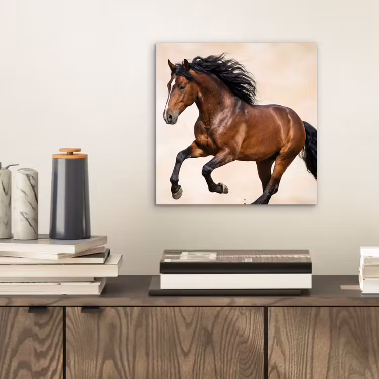 Paard - Galop - Energie aluminium wit klein -sfeer1