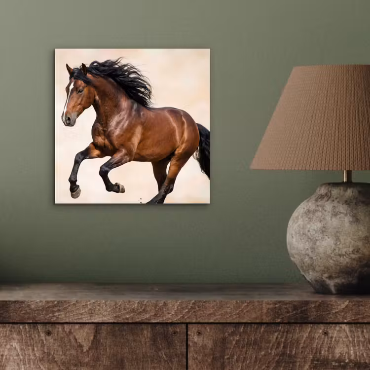 Paard - Galop - Energie aluminium wit klein -sfeer2