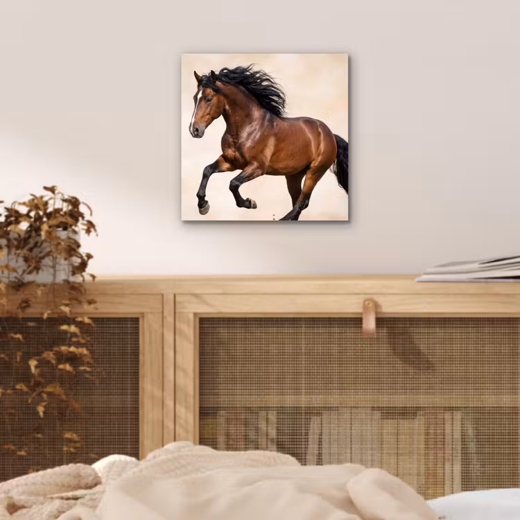 Paard - Galop - Energie aluminium wit klein -sfeer3
