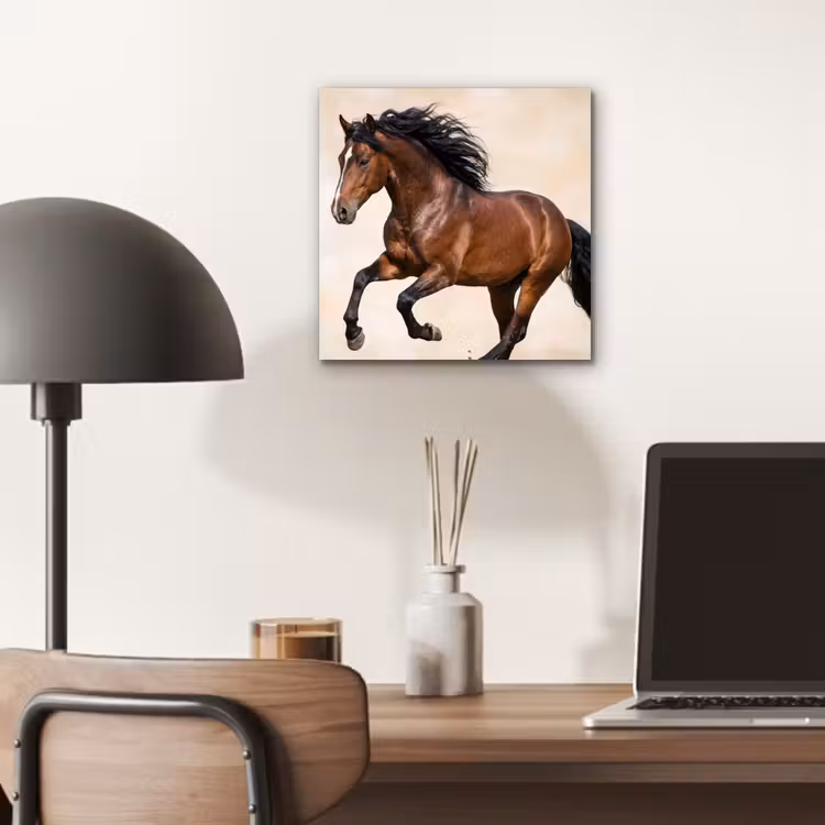 Paard - Galop - Energie aluminium wit klein -sfeer5