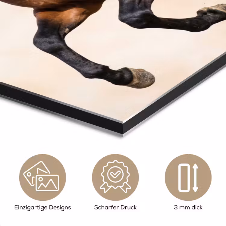Paard - Galop - Energie aluminium wit klein -closeup_DE