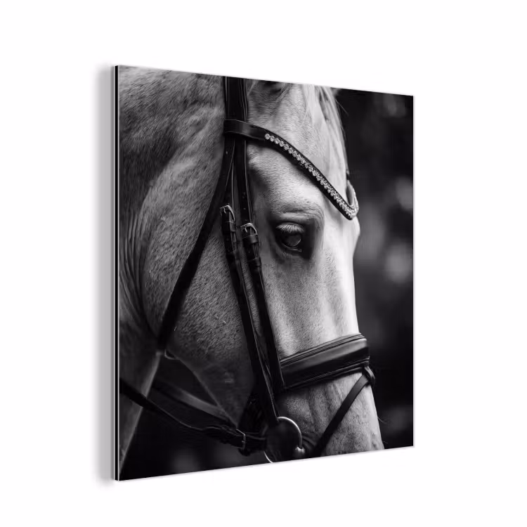 Paard - Schimmel - Portret aluminium wit klein -3d