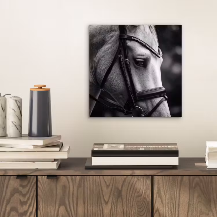 Paard - Schimmel - Portret aluminium wit klein -sfeer1