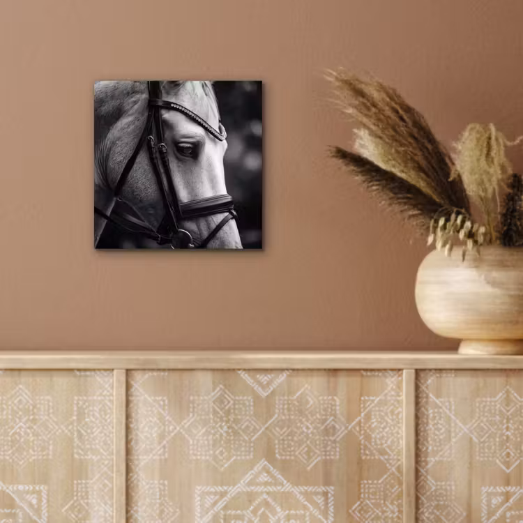 Paard - Schimmel - Portret aluminium wit klein -sfeer4