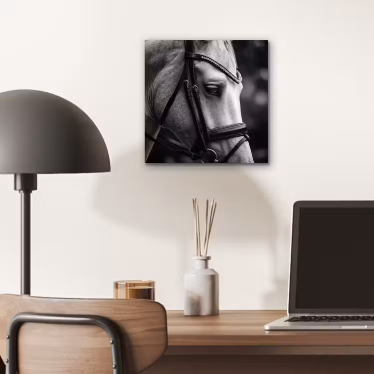Paard - Schimmel - Portret aluminium wit klein -sfeer5