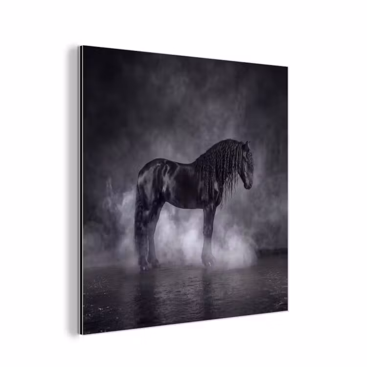 Paard - Magisch - Zwart aluminium wit klein -3d