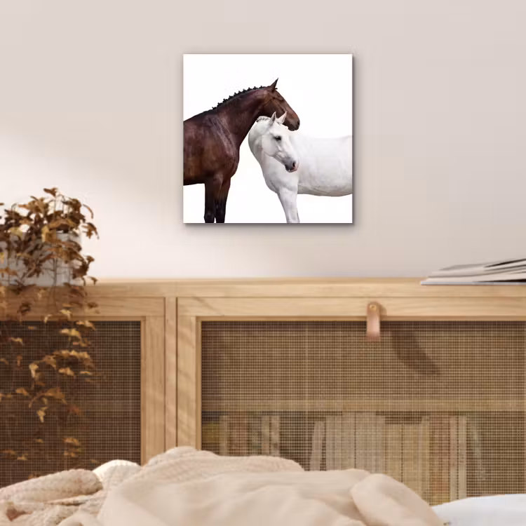 Paard - Modern - Balans aluminium wit klein -sfeer3