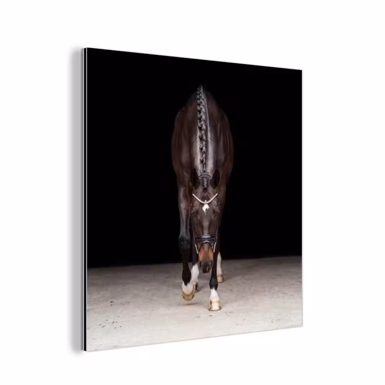 Paard - Modern - Portret aluminium wit klein -3d
