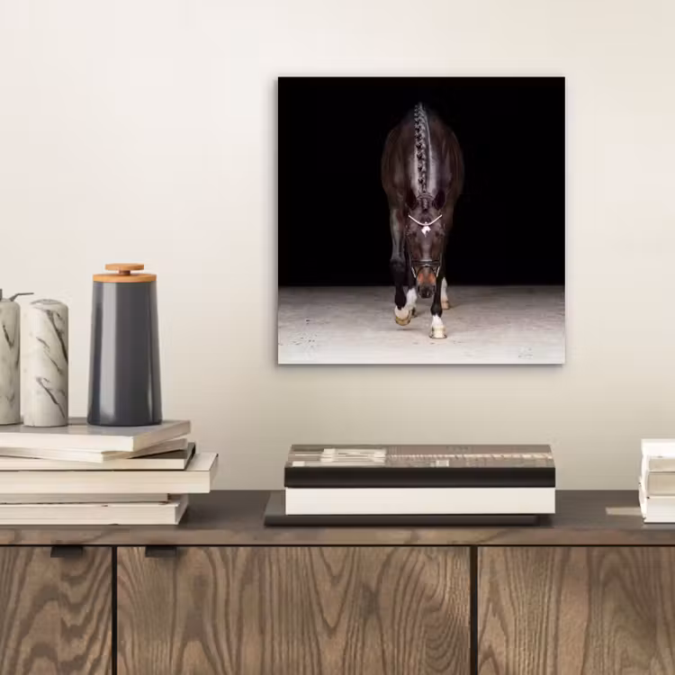 Paard - Modern - Portret aluminium wit klein -sfeer1
