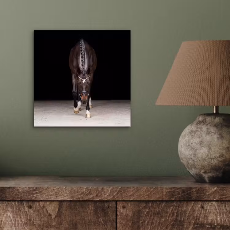 Paard - Modern - Portret aluminium wit klein -sfeer2