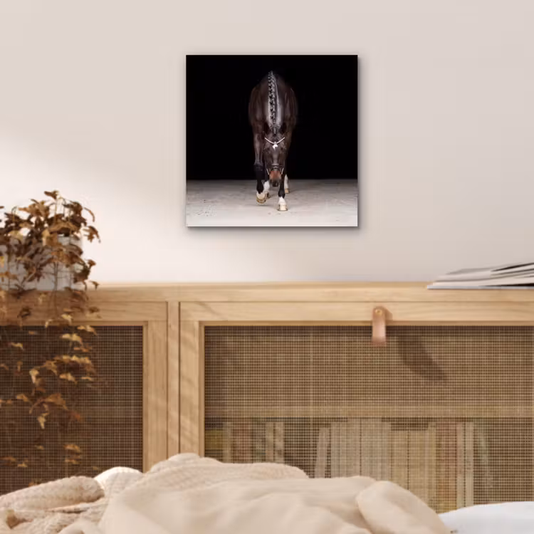 Paard - Modern - Portret aluminium wit klein -sfeer3