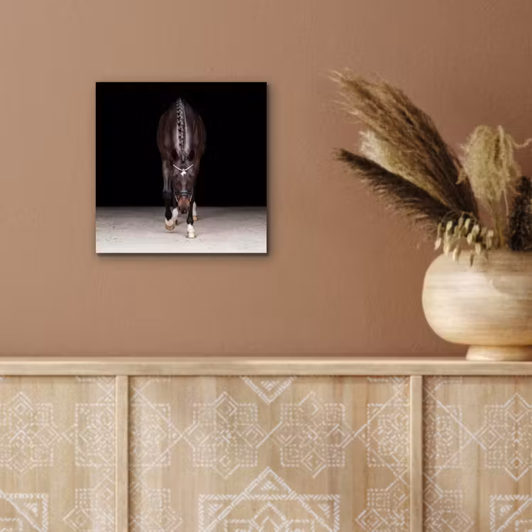 Paard - Modern - Portret aluminium wit klein -sfeer4