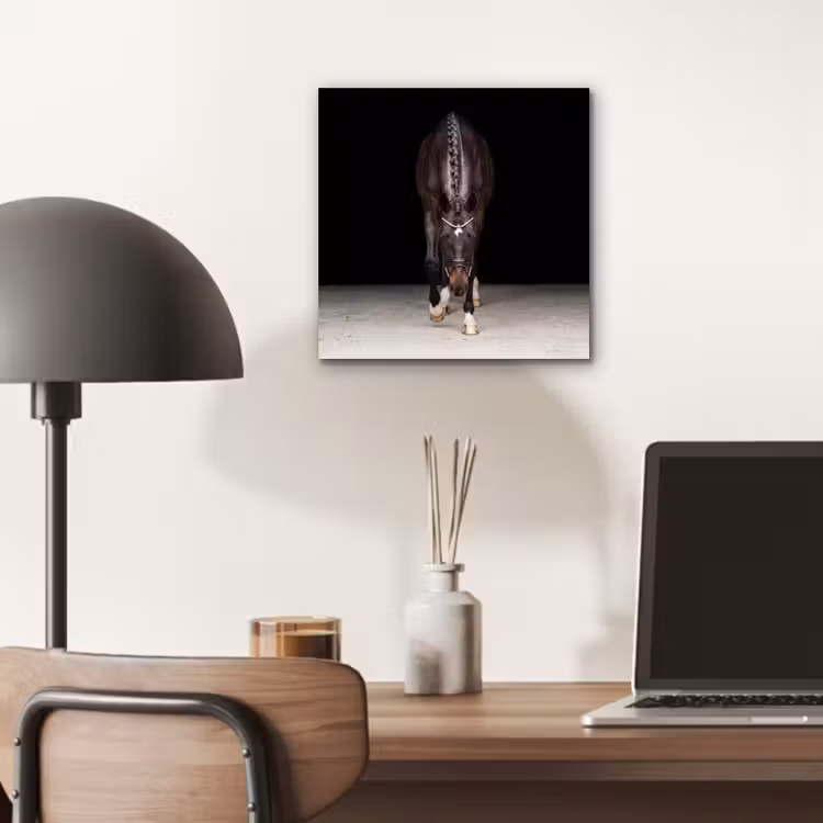 Paard - Modern - Portret aluminium wit klein -sfeer5