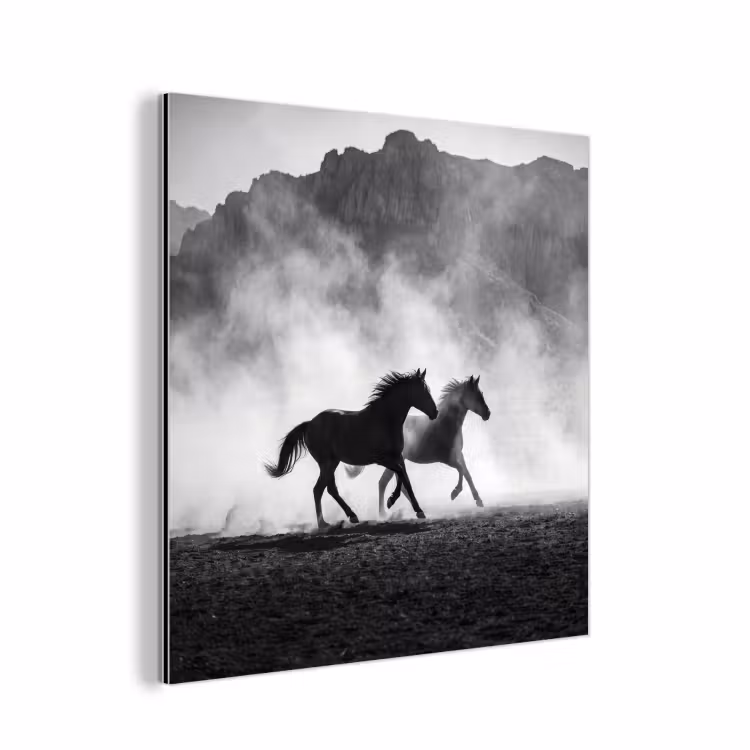 Paard - Ren - Stof - Zwart-wit - Dieren aluminium wit klein -3d