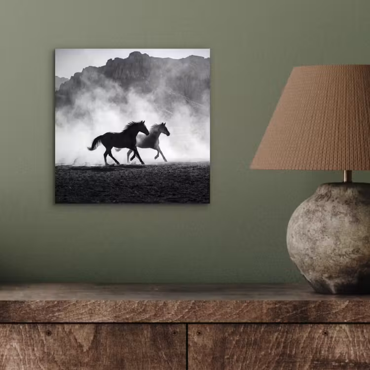 Paard - Ren - Stof - Zwart-wit - Dieren aluminium wit klein -sfeer2