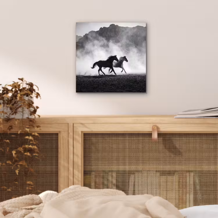 Paard - Ren - Stof - Zwart-wit - Dieren aluminium wit klein -sfeer3