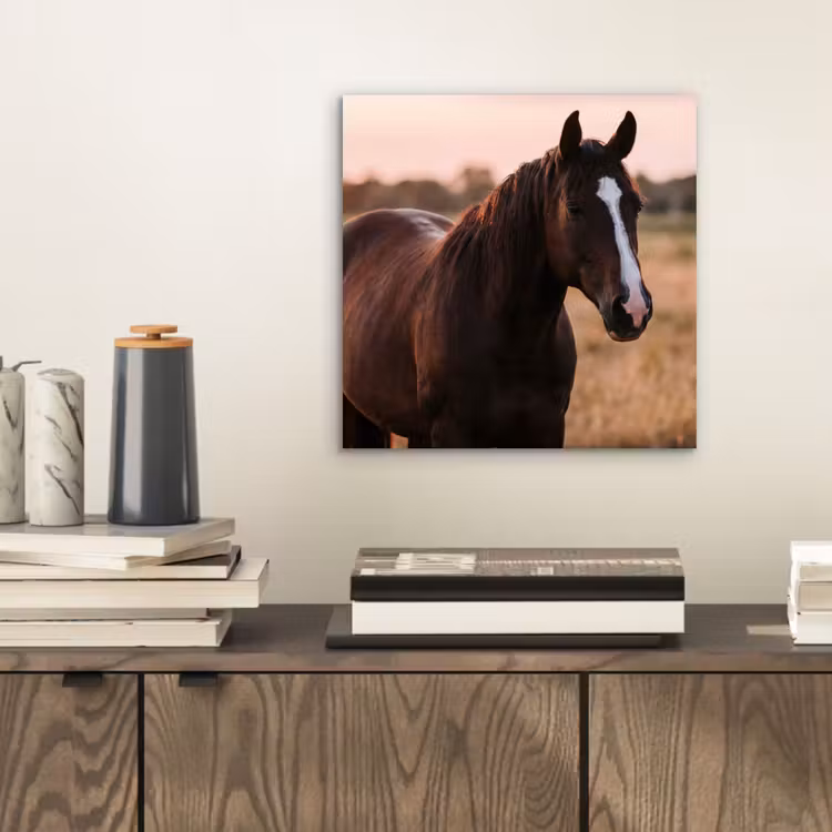 Paard - Zonsondergang - Bruin aluminium wit klein -sfeer1