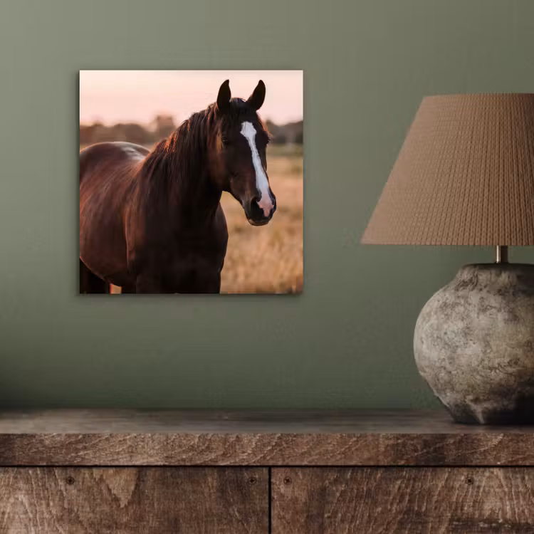 Paard - Zonsondergang - Bruin aluminium wit klein -sfeer2