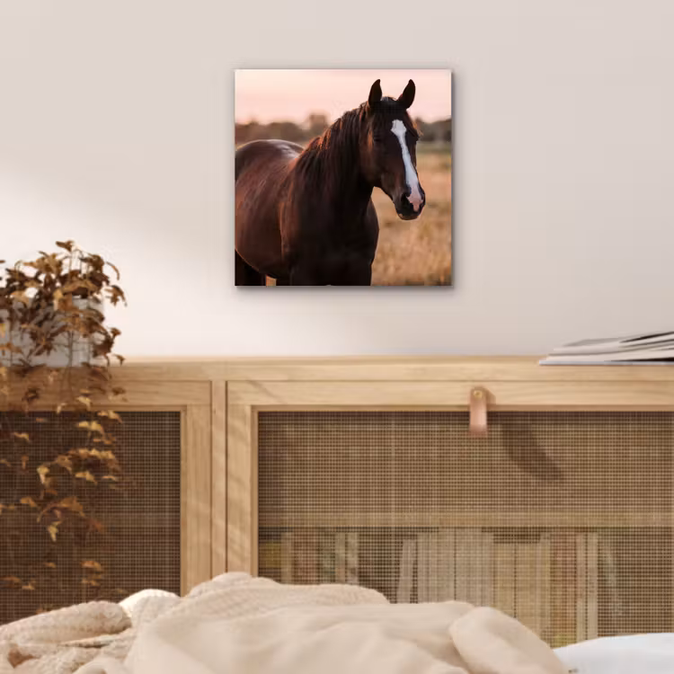 Paard - Zonsondergang - Bruin aluminium wit klein -sfeer3