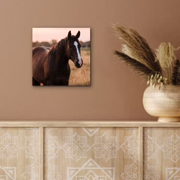 Paard - Zonsondergang - Bruin aluminium wit klein -sfeer4