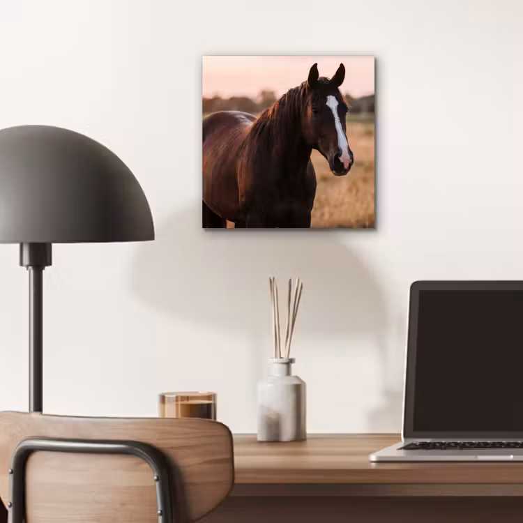 Paard - Zonsondergang - Bruin aluminium wit klein -sfeer5