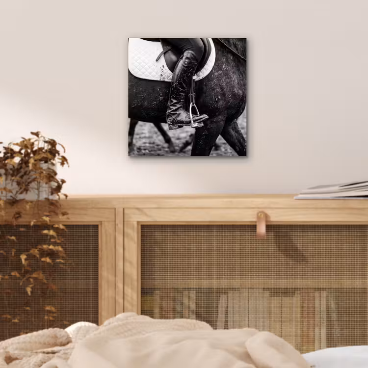 Paard - Sport - Zwart - Wit aluminium wit klein -sfeer3