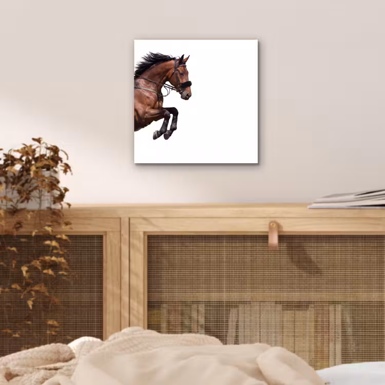 Paard - Springen - Modern aluminium wit klein -sfeer3