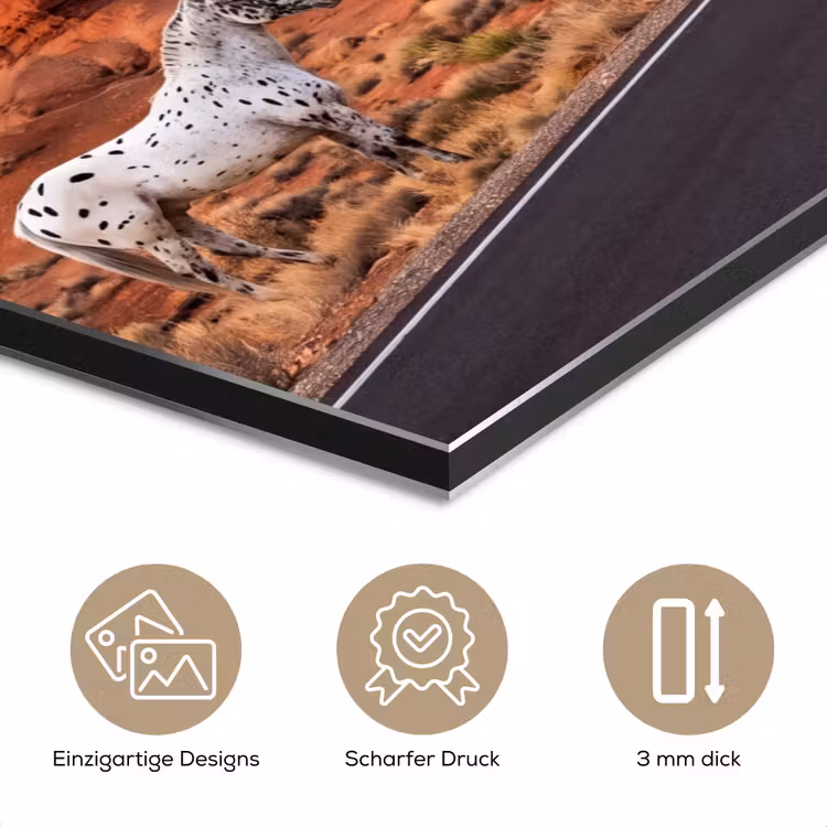 Alu-Dibond-Bild - Pferd – Wüste – Natur - Paard - Woestijn - Natuur aluminium wit klein