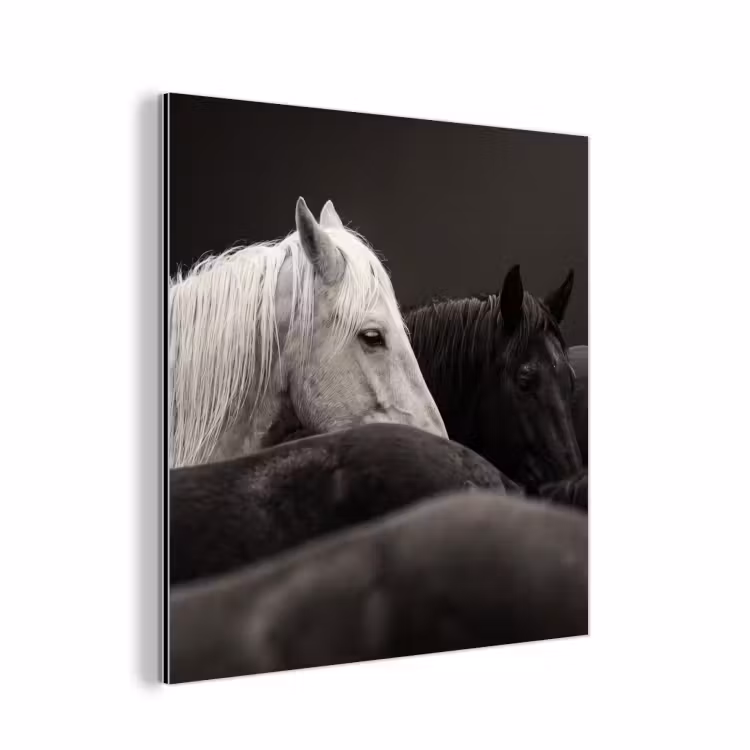 Paarden - Zwart - Wit - Kudde aluminium wit klein -3d