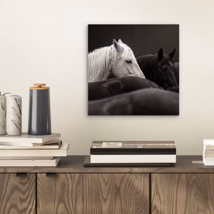 Paarden - Zwart - Wit - Kudde aluminium wit klein -sfeer1