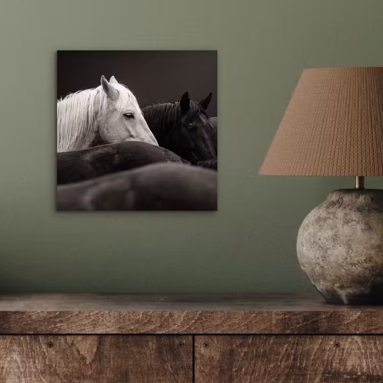 Paarden - Zwart - Wit - Kudde aluminium wit klein -sfeer2