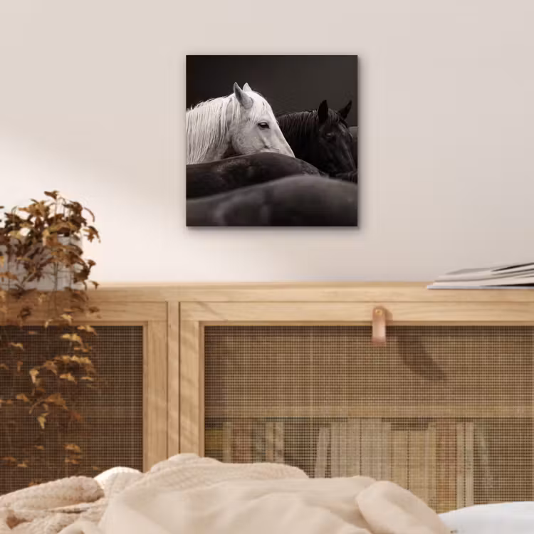 Paarden - Zwart - Wit - Kudde aluminium wit klein -sfeer3